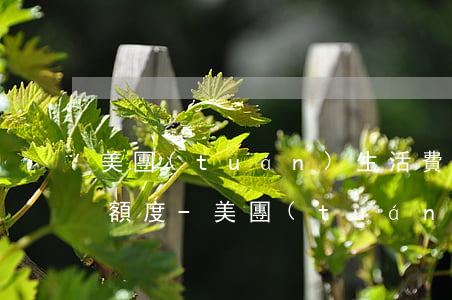 美團(tuán)生活費逾期政策開通5千額度-美團(tuán)生活費逾期政策開通5千額度還能用嗎