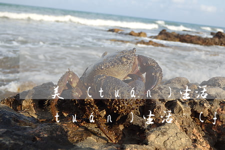 美團(tuán)生活還款逾期一天(美團(tuán)生活費(fèi)分期逾期了5天還了要全還嗎)