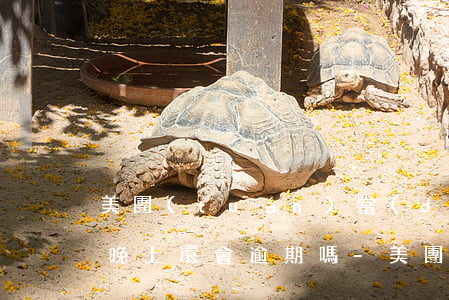 美團(tuán)當(dāng)天還款日晚上還會逾期嗎-美團(tuán)當(dāng)天還款日晚上還會逾期嗎怎么辦