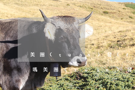 美團(tuán)發(fā)律師函是真的嗎?(美團(tuán)發(fā)的律師函是真的假的)