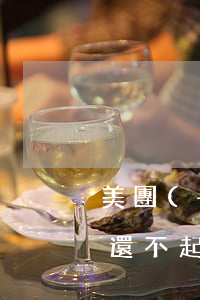 美團(tuán)網(wǎng)貸欠2萬還不起怎么辦(美團(tuán)貸還不起了怎么辦)