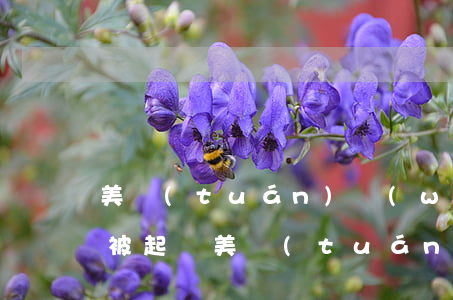 美團(tuán)網(wǎng)貸欠五千被起訴(美團(tuán)生意貸欠一萬(wàn)說(shuō)已經(jīng)起訴我了是不是真的)