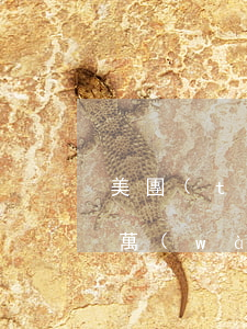 美團(tuán)網(wǎng)貸逾期1萬(wàn)多少起訴(美團(tuán)逾期8天會(huì)起訴,我已經(jīng)還了2000多)