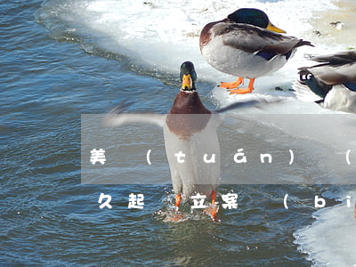 美團(tuán)網(wǎng)貸逾期多久起訴立案標(biāo)準(zhǔn) 美團(tuán)逾期多久會(huì)被起訴會(huì)有什么后果