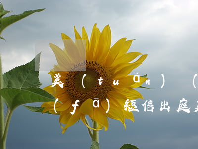 美團(tuán)網(wǎng)貸逾期發(fā)短信出庭(美團(tuán)網(wǎng)發(fā)短信催款)