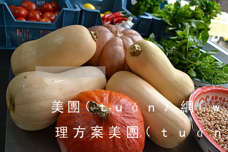美團(tuán)網(wǎng)貸逾期處理方案(美團(tuán)網(wǎng)貸逾期五天發(fā)律師函是真的嗎)