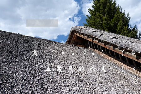 美團(tuán)網(wǎng)貸逾期起訴立案真的么 美團(tuán)網(wǎng)貸起訴是真的么