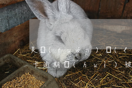 美團(tuán)聯(lián)名卡信用卡逾期會(huì)被起訴嗎-美團(tuán)聯(lián)名卡信用卡逾期會(huì)被起訴嗎知乎