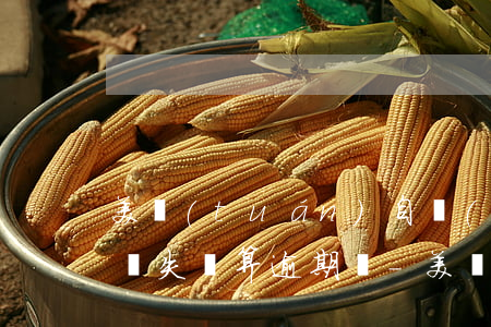 美團(tuán)自動(dòng)還款失敗失敗算逾期嗎-美團(tuán)自動(dòng)還款失敗失敗算逾期嗎怎么辦