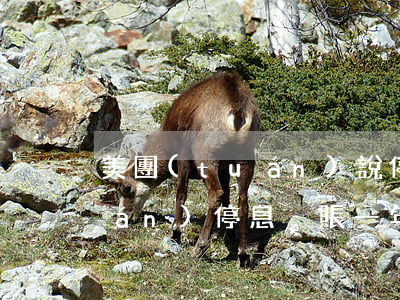美團(tuán)說停息掛賬-美團(tuán)停息掛賬一年真的嗎