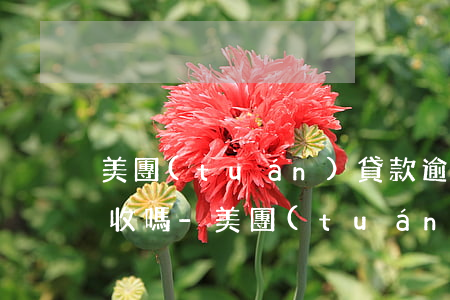 美團(tuán)貸款逾期1000上門催收嗎-美團(tuán)貸款逾期1000上門催收嗎是真的嗎