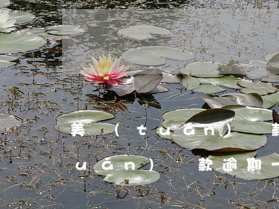 美團(tuán)貸款逾期一天6(美團(tuán)貸款逾期一天會不會對征信有影響信用卡使用)