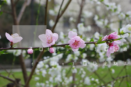 美團(tuán)貸款逾期上門催收(美團(tuán)貸款逾期上門催收)