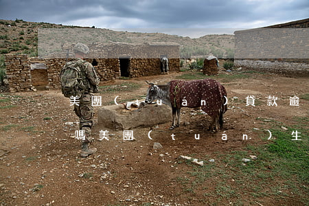 美團(tuán)貸款逾期了還能辦信用卡嗎(美團(tuán)生活費(fèi)逾期美團(tuán)信用卡還能用嗎)