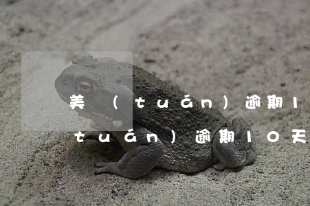 美團(tuán)逾期10天可以嗎(美團(tuán)逾期10天全部還完 什么時(shí)候還能再借)