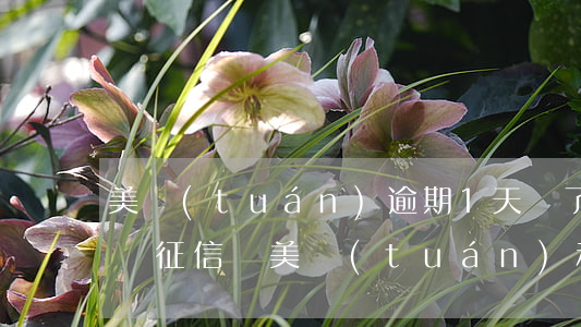 美團(tuán)逾期1天還了之后還了影響征信嗎（美團(tuán)和白條逾期過(guò)一天會(huì)上征信嗎）