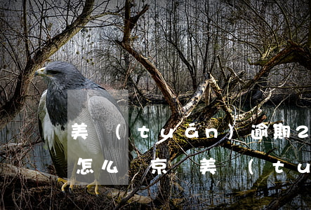 美團(tuán)逾期2天就開始電話催收怎么辦?（京東美團(tuán)哪個(gè)逾期催的嚴(yán)重）