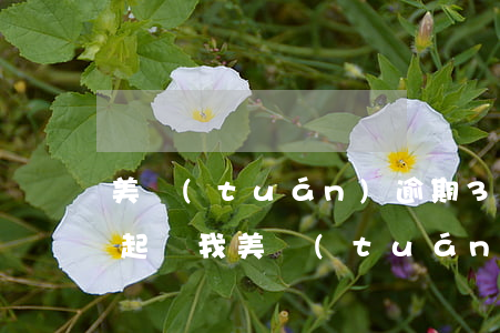 美團(tuán)逾期3個(gè)月說要起訴我(美團(tuán)生意貸逾期一個(gè)月說已經(jīng)起訴我了)