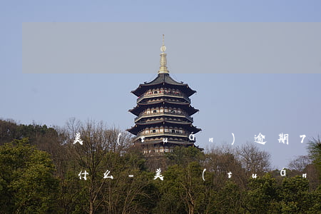 美團(tuán)逾期7天3800說要貼什么-美團(tuán)逾期8天是要把所有的錢都還清嗎