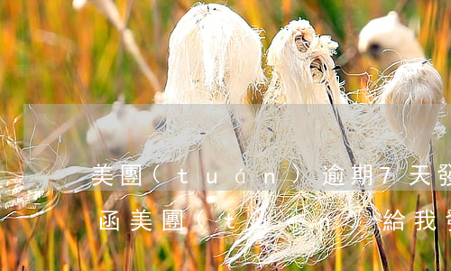 美團(tuán)逾期7天發(fā)律師函(美團(tuán)給我發(fā)律師函了)