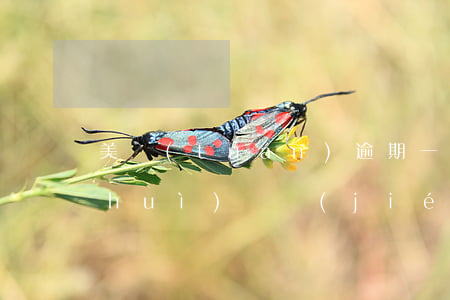 美團(tuán)逾期一個(gè)月會(huì)凍結(jié)微信嗎(美團(tuán)逾期會(huì)不會(huì)凍結(jié)微信和支付寶)