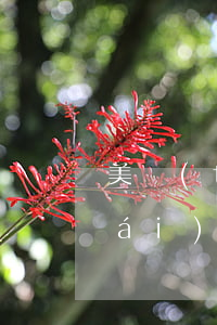 美團(tuán)逾期一天后取不出來(lái)額度多少時(shí)間可以恢復(fù)（美團(tuán)逾期如何恢復(fù)使用額度）