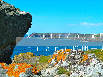 美團(tuán)逾期一天怎么辦啊(美團(tuán)逾期一天是多少錢)