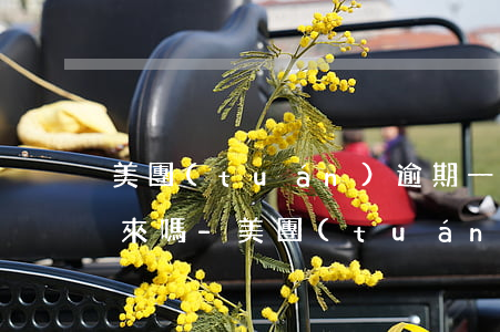 美團(tuán)逾期一天還可以再借得出來嗎-美團(tuán)逾期一天還可以再借得出來嗎安全嗎