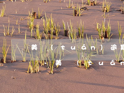 美團(tuán)逾期一次就不能借出來了嗎-美團(tuán)逾期一次就不能借出來了嗎為什么