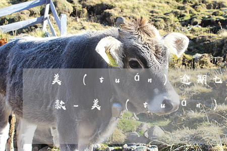 美團(tuán)逾期七天后被要求全額還款-美團(tuán)逾期七天后被要求全額還款怎么辦