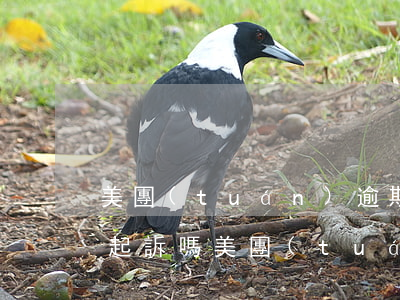 美團(tuán)逾期三天會(huì)被起訴嗎(美團(tuán)逾期三個(gè)月就要開庭審理,是真的嗎?)