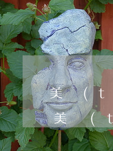 美團(tuán)逾期上征信還能借錢嗎-美團(tuán)逾期會影響信用卡嗎