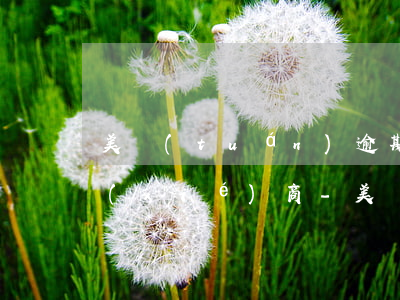 美團(tuán)逾期了客服主動打電話協(xié)商-美團(tuán)逾期了客服主動打電話協(xié)商還款