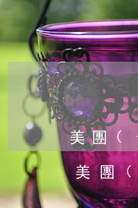 美團(tuán)逾期了怎么才能延期還款(美團(tuán)申請(qǐng)延期還款需要多久)