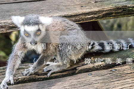 美團(tuán)逾期了會(huì)凍結(jié)微信嗎（美團(tuán)逾期了會(huì)凍結(jié)微信嗎）
