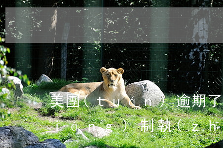 美團(tuán)逾期了法院會上門強(qiáng)制執(zhí)行嗎(美團(tuán)欠款4700逾期幾個月了會不會上門)