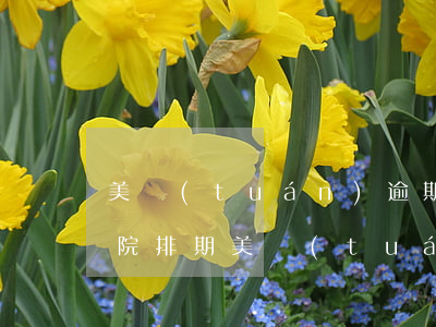 美團(tuán)逾期了說(shuō)法院排期(美團(tuán)逾期起訴什么什么情況)