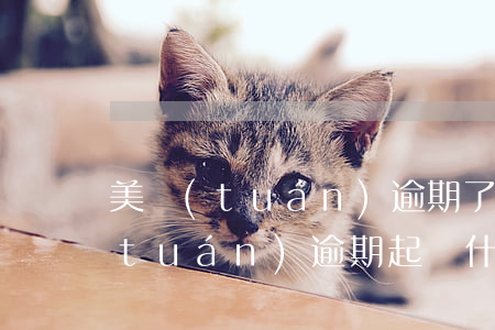 美團(tuán)逾期了說法院排期(美團(tuán)逾期起訴什么什么情況)
