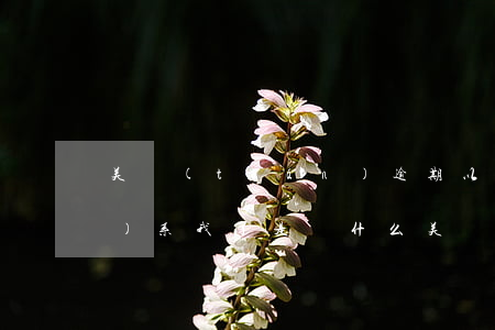 美團(tuán)逾期以后不聯(lián)系我了是為什么?（美團(tuán)逾期聯(lián)系家里人有用嗎）