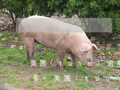 美團(tuán)逾期催款為什么知道那么多-美團(tuán)逾期催款為什么知道那么多電話