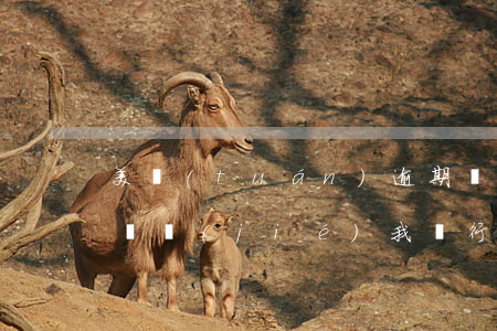 美團(tuán)逾期兩個(gè)月說要凍結(jié)我銀行卡-美團(tuán)逾期兩個(gè)月說要凍結(jié)我銀行卡是真的嗎