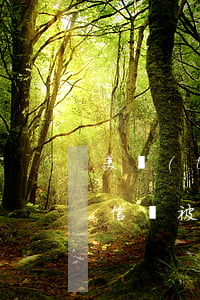 美團(tuán)逾期兩個月發(fā)短信說被起訴(美團(tuán)逾期兩個月發(fā)短信說被起訴)