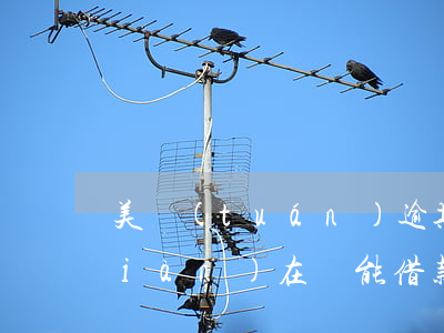 美團(tuán)逾期兩天忘記還款，現(xiàn)在還能借款嗎？