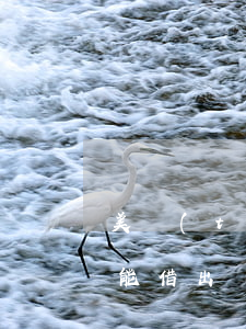 美團(tuán)逾期半年多了還上錢后還能借出來嗎（美團(tuán)逾期半年多了）