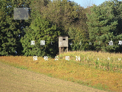 美團(tuán)逾期協(xié)商還款催收公司說(shuō)不能分期-美團(tuán)逾期協(xié)商還款催收公司說(shuō)不能分期怎么辦
