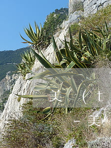 美團(tuán)逾期后全額還款可以減免嗎-美團(tuán)逾期后全額還款可以減免嗎是真的嗎