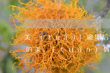 美團(tuán)逾期后說要起訴是真的假的(美團(tuán)借錢逾期三天說被起訴是真的假的)