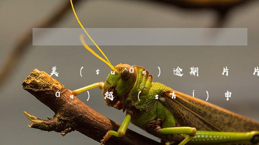 美團(tuán)逾期圖片圖片(美團(tuán)超時(shí)申訴圖片)