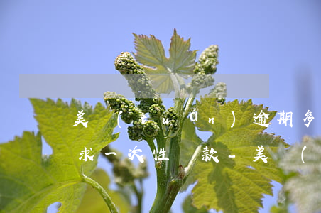 美團(tuán)逾期多久會(huì)要求一次性還款-美團(tuán)逾期多久會(huì)要求一次性還款呢
