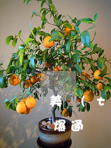 美團(tuán)逾期多少天會(huì)爆通訊錄 美團(tuán)一般 貸款逾期多久才會(huì) 爆通訊錄